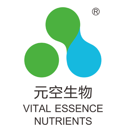 上海元空生物科技 引領生物科技創新的先鋒